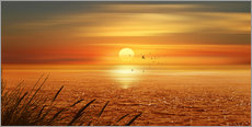 Gallery print  Sunset Over The Ocean - Monika Jüngling