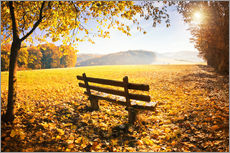 Gallery print  Golden autumn forest with sunlight - Jan Christopher Becke