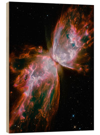 Obraz na drewnie  The Butterfly Nebula