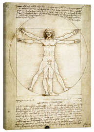 Obraz na płótnie  Człowiek witruwiański - Leonardo da Vinci