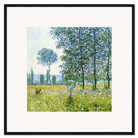 Plakat artystyczny premium w ramie  Pola wiosną - Claude Monet