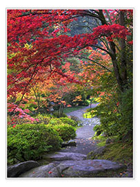 Plakat  Path in a Japanese garden - Janell Davidson