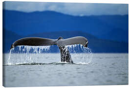 Obraz na płótnie  Fin of a humpback whale - Paul Souders