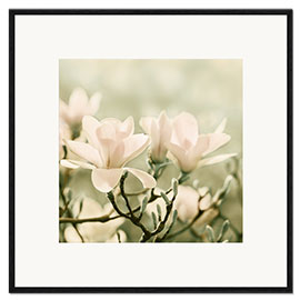 Plakat artystyczny premium w ramie  magnolia blossom - Atteloi