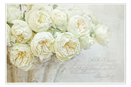 Plakat  White roses - Lizzy Pe