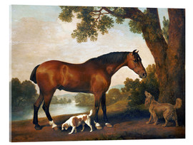 Obraz na szkle akrylowym  Horse and two dogs - George Stubbs