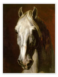 Plakat Head of a white horse