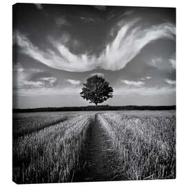 Obraz na płótnie  Tree and clouds - Carsten Meyerdierks