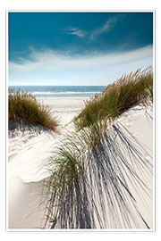 Plakat  Dunes with fine beach grass - Reiner Würz