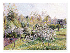 Plakat  Blühende Apfelbäume in Eragny. 1895 - Camille Pissarro