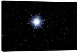 Obraz na płótnie  Star Sirius - MonarchC