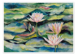 Plakat Lotus flowers