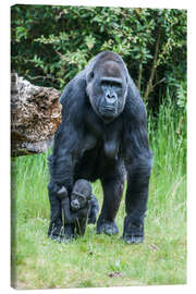 Obraz na płótnie  Mama Gorilla with Baby Gorilla - Ingo Gerlach