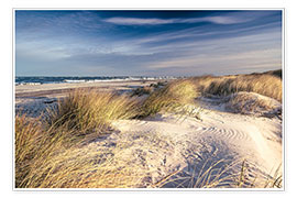 Plakat Sand dunes at the beach