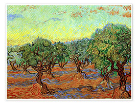 Plakat  Gaj oliwny - Vincent van Gogh