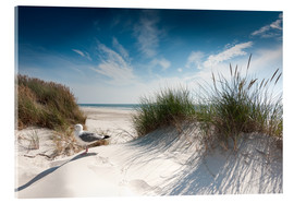 Obraz na szkle akrylowym  Sylt - dune with fine beach grass and seagull - Reiner Würz