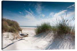 Obraz na płótnie  Sylt - dune with fine beach grass and seagull - Reiner Würz