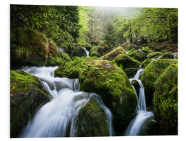 Obraz na PCV  Wild Creek in German Black Forest - Andreas Wonisch