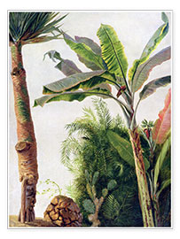 Plakat  Banana Tree - Frederic Edwin Church