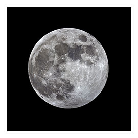 Plakat  Księżyc w pełni - MonarchC