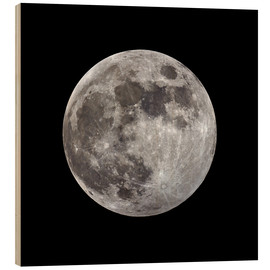 Obraz na drewnie  Księżyc w pełni - MonarchC