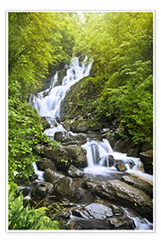 Plakat Torc Waterfall 