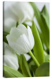 Obraz na płótnie  White Tulips 02 - Nailia Schwarz