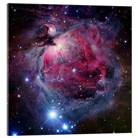 Obraz na szkle akrylowym  The Orion Nebula - Robert Gendler
