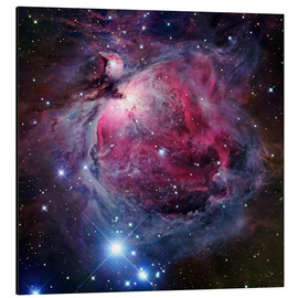Obraz na aluminium  The Orion Nebula - Robert Gendler
