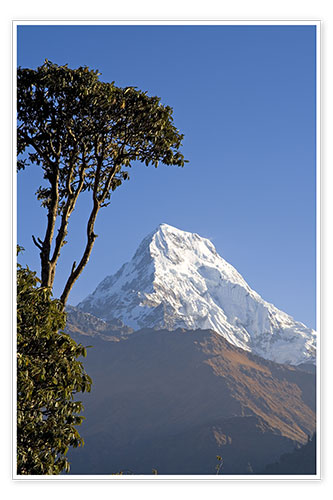Plakat Annapurna - Nepal