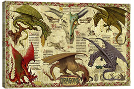 Obraz na płótnie  Dragon study - Garry Walton