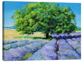 Obraz na płótnie  Tree and Lavenders - Jean-Marc Janiaczyk