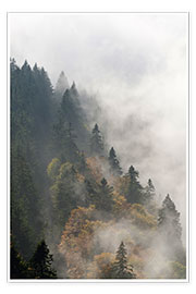 Plakat  Cloud forest - Michael Valjak