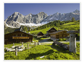 Plakat  Alpine Pasture I - Rainer Mirau