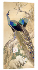 Obraz na szkle akrylowym  Two peacocks in spring - Imao Keinen