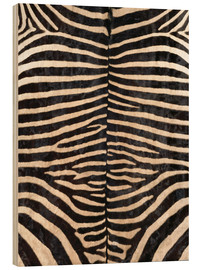 Obraz na drewnie  Zebra skin