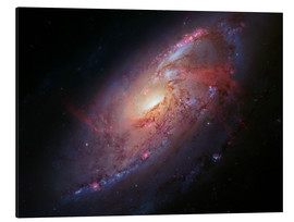 Obraz na aluminium  Spiral galaxy M106 - Robert Gendler