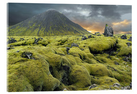 Obraz na szkle akrylowym  Moss-covered lava field, Iceland - Tony Craddock