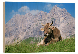 Obraz na drewnie  Cow on a mountain meadow - Bjorn Svensson