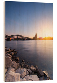 Obraz na drewnie  Cologne on the Rhine-shore - rclassen