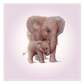 Plakat Elephant & Calf