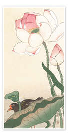 Plakat  lotus - Ohara Koson