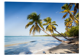 Obraz na szkle akrylowym  Les Salines tropical beach, Martinique, Caribbean - Matteo Colombo