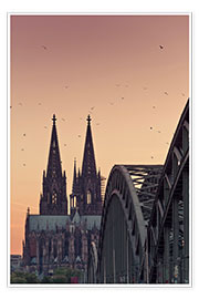 Plakat  Köln - euregiophoto