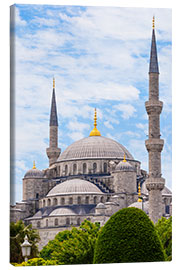 Obraz na płótnie  Blue Mosque Istanbul - Jan Schuler