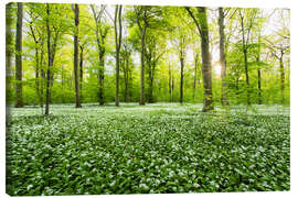 Obraz na płótnie  Spring Forest - Dave Derbis