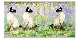 Plakat Siamese cats
