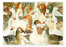 Plakat Patchwork Geese