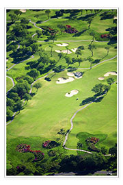 Plakat Golf course