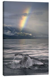 Obraz na płótnie  Humpback whale fin off Alaska - Ron Sanford